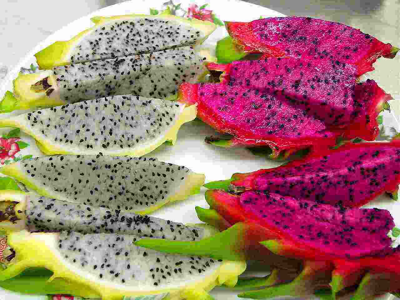 Red Dragon Fruit Benefits for Young Mothers and Families