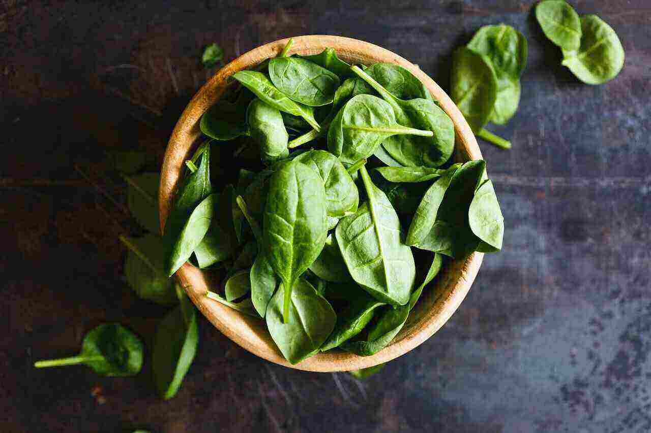 Benefits of Basil Leaves: Various Benefits