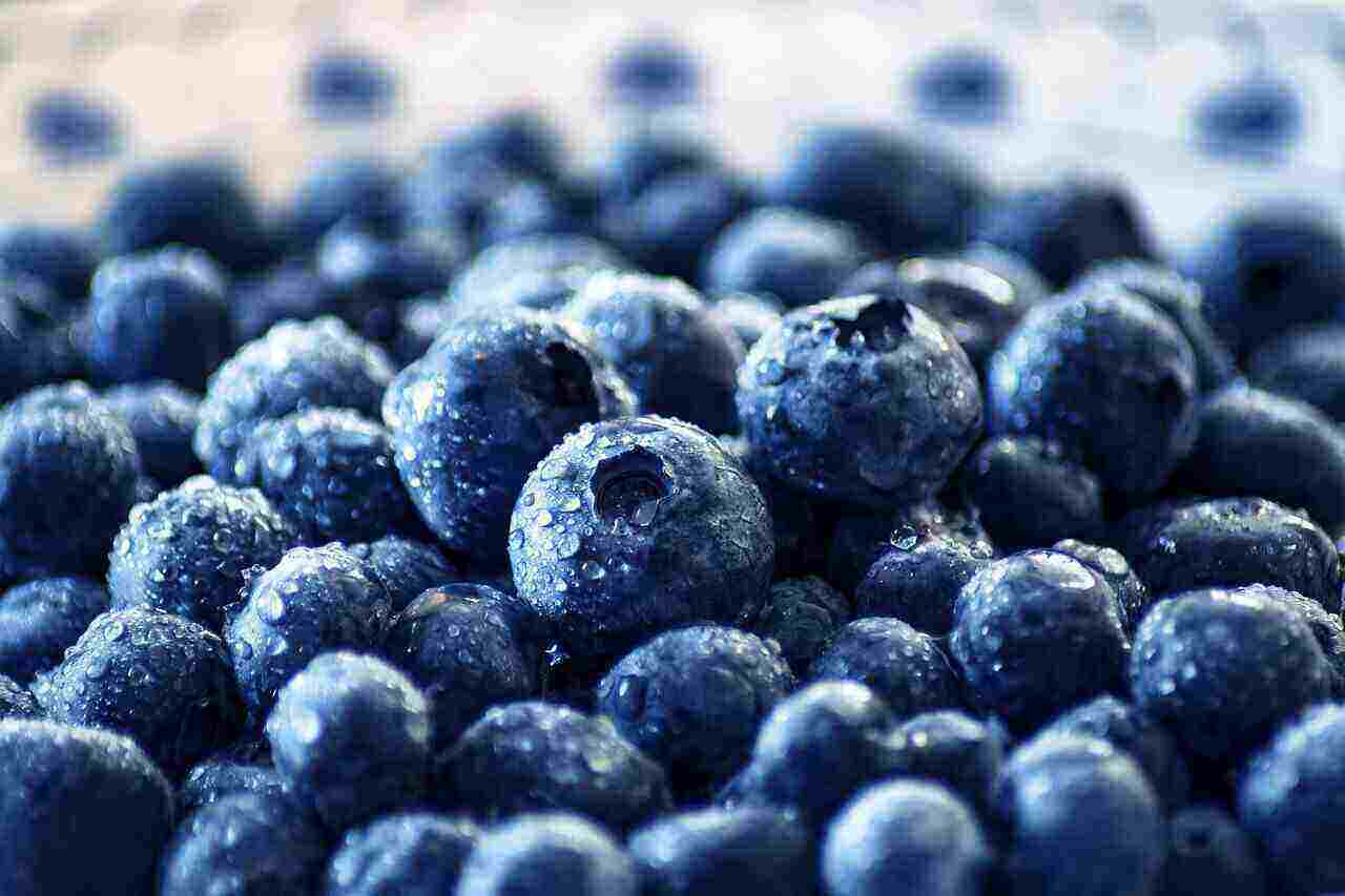 Blueberries have many benefits for your body and family health